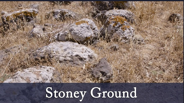 rocky places